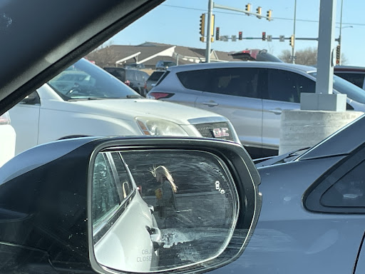 1st Choice Auto Wash Watertown. Coding is not capable. South Dakota 1 word2