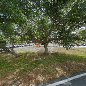 Car Wash Punta Gorda. Charlotte County. Florida 1 word3
