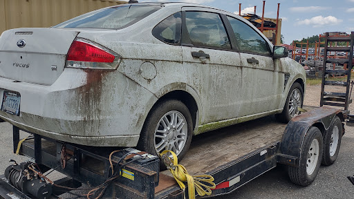 Diligent Detailing Solutions Ashland. Hanover County. Virginia 1 word1