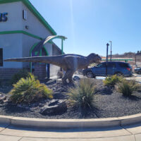 Dino Dash Car Wash St. George. Washington County. Utah 7 word2