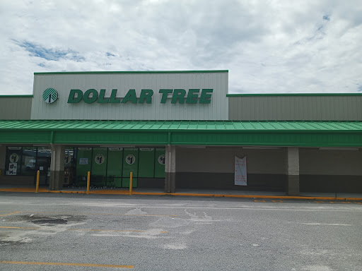Dollar Tree Metter. Candler County. Georgia 1 word3