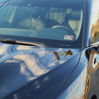 Miel's Auto Detailing Winchester. Frederick County. Virginia 6 word3