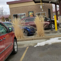 Quick Quack Car Wash Centerville. Davis County. Utah 3 word3