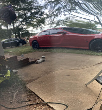 Sandy Spring's Detailing LLC Pendleton. Anderson County. 2 word3