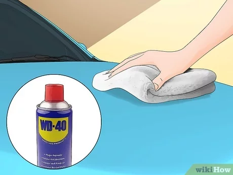 Insect Remover Car Home Remedy 1 word3