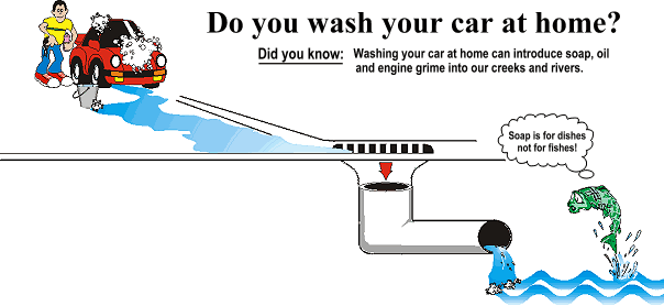 Is It Allowed To Wash The Car At Home? 1 word3