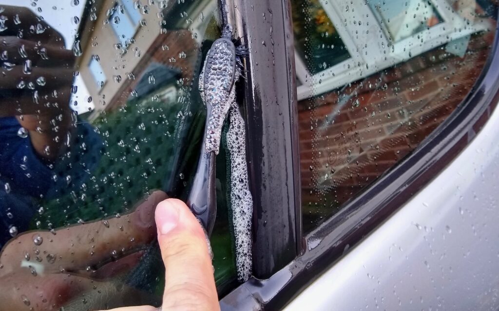 Remove Moss From Car Window 1 word1